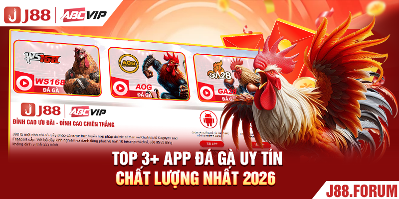 Top 3+ app đá gà uy tín, chất lượng nhất 2026